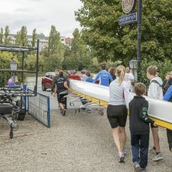 Rudervierer auf dem Weg zum Wasser